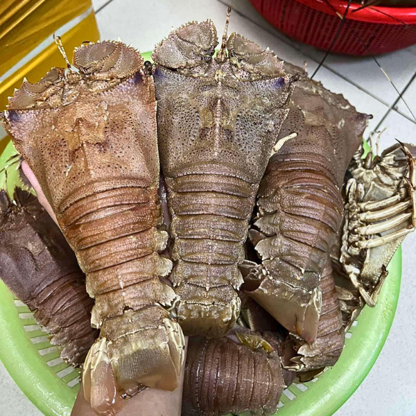Tôm mũ ni trắng giá sỉ