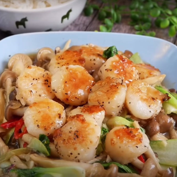 Cồi sò điệp giá sỉ 