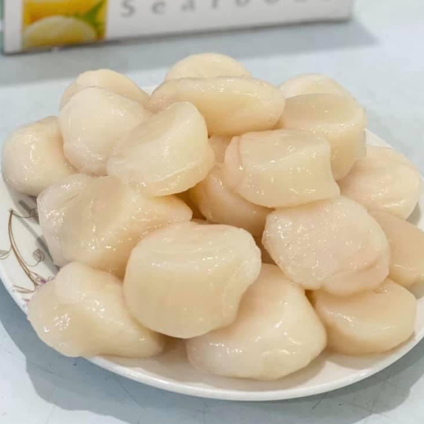Cồi sò điệp giá sỉ 