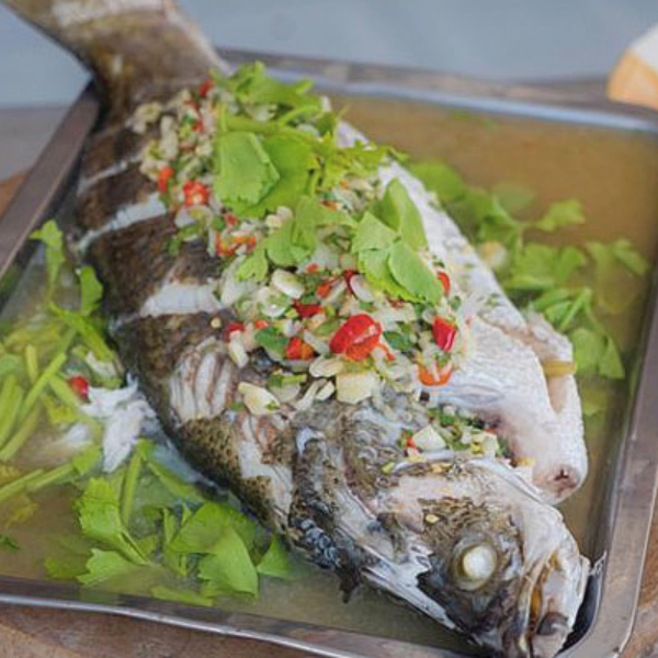 Cá chim giá sỉ