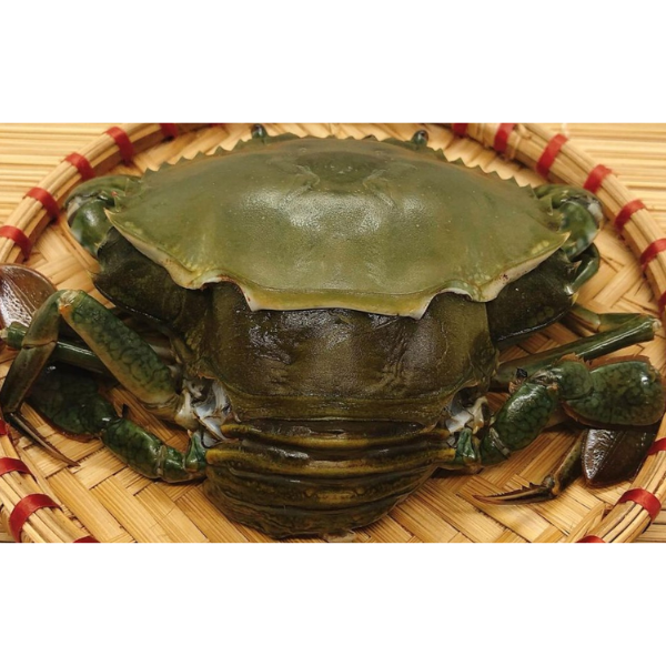 Cua cốm giá sỉ