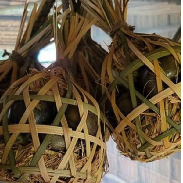Ốc lác gác bếp chất lượng