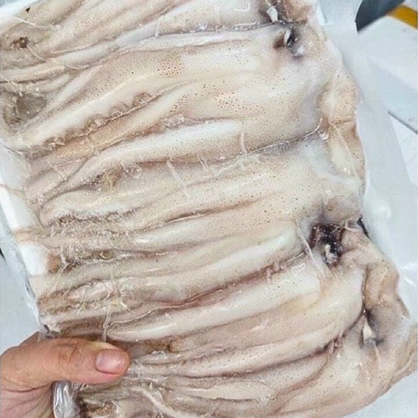 Đầu mực cấp đông giá sỉ