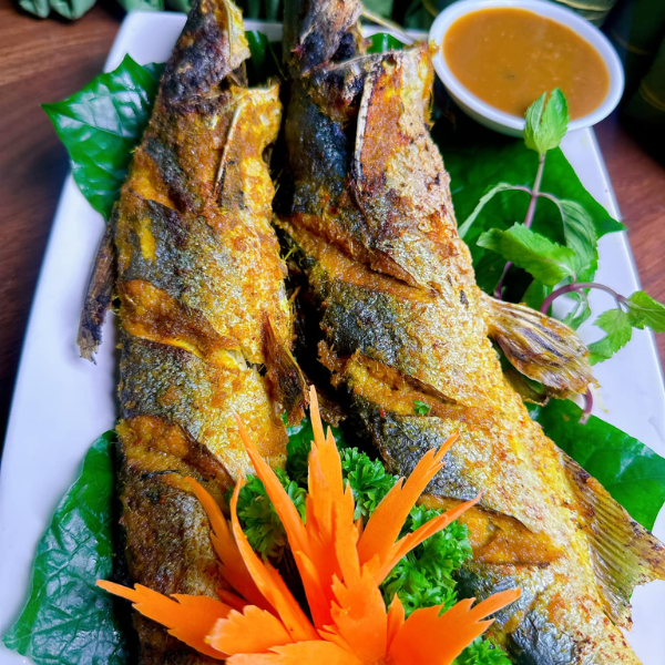 Cá úc ngon chất lượng